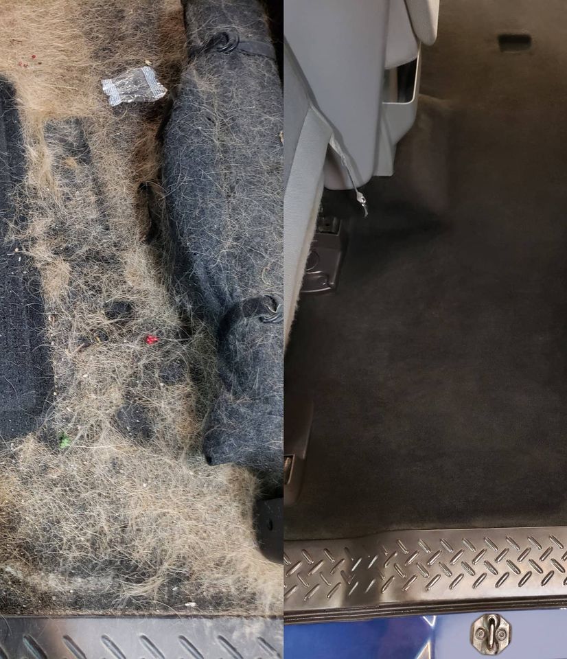 Removing pet hair from car seat